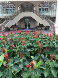 The Gardens At Bishan (D20), Condominium #199465632